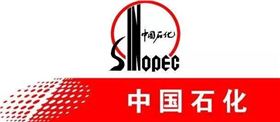 羅德凸輪轉(zhuǎn)子泵石油石化行業(yè)應用與發(fā)展