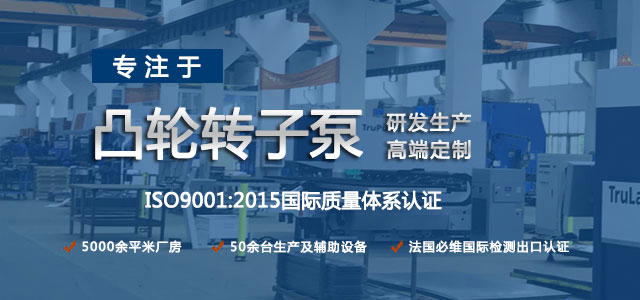 凸輪轉(zhuǎn)子泵生產(chǎn)廠家，專(zhuān)注于凸輪轉(zhuǎn)子泵的研發(fā)生產(chǎn)，高端定制
